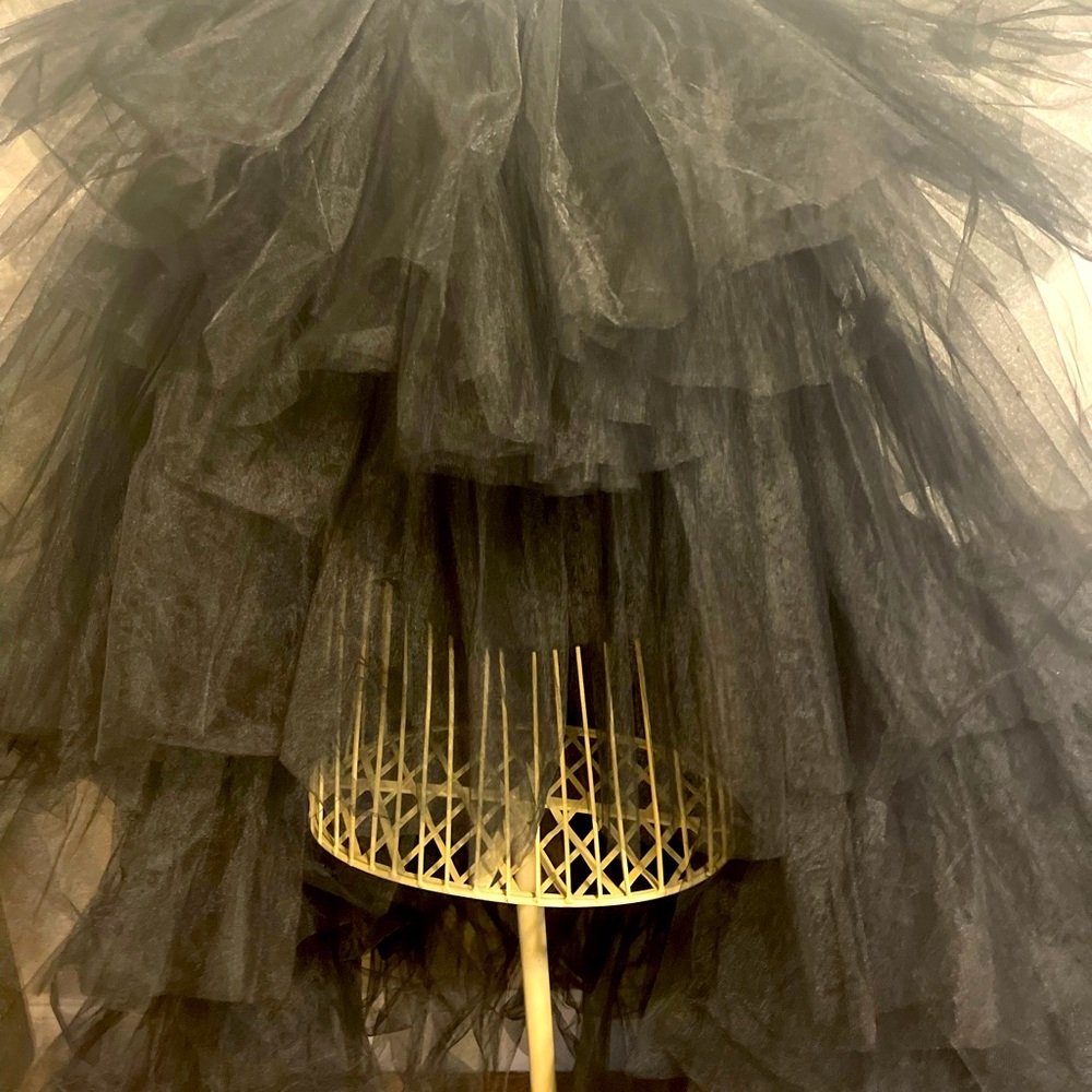 Women Hi Low Tulle  skirt. Definitely a fashion statement.